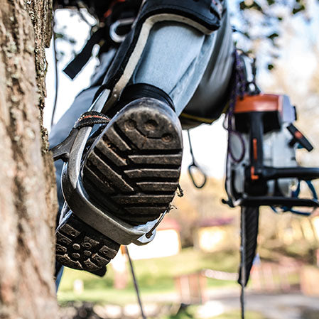 Arborists & Tree Care