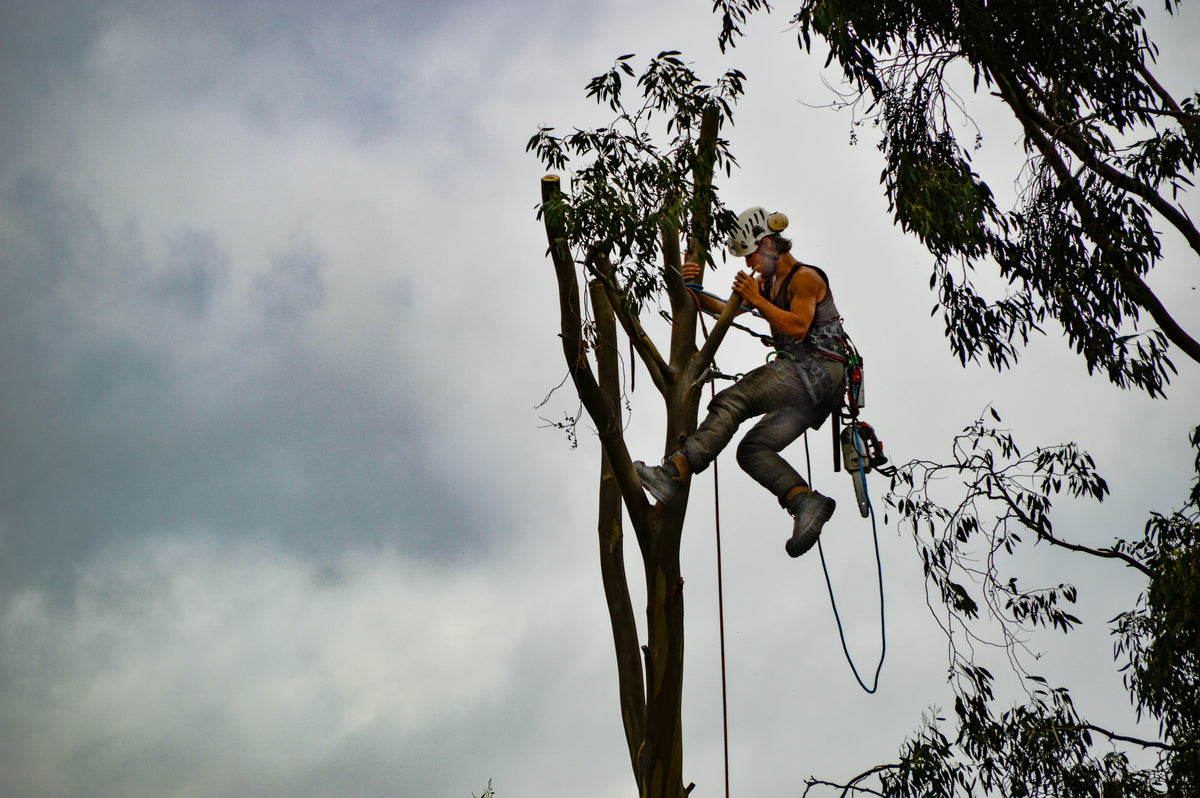 Climbing Spurs