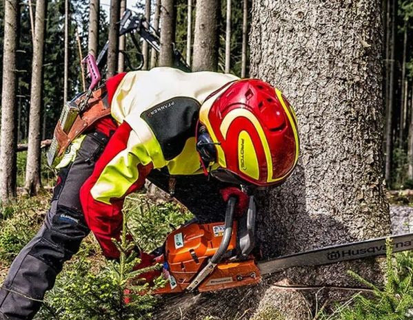 Person using a chainsaw to cut a tree in a forest