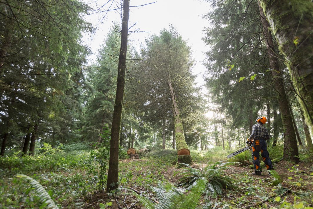 Stihl MS 500I Chainsaw