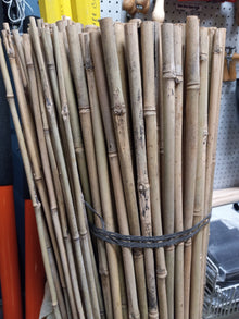 Bamboo Stakes for Tree Protection Tubes 5' 12-14mm thickness (Pack of 10)