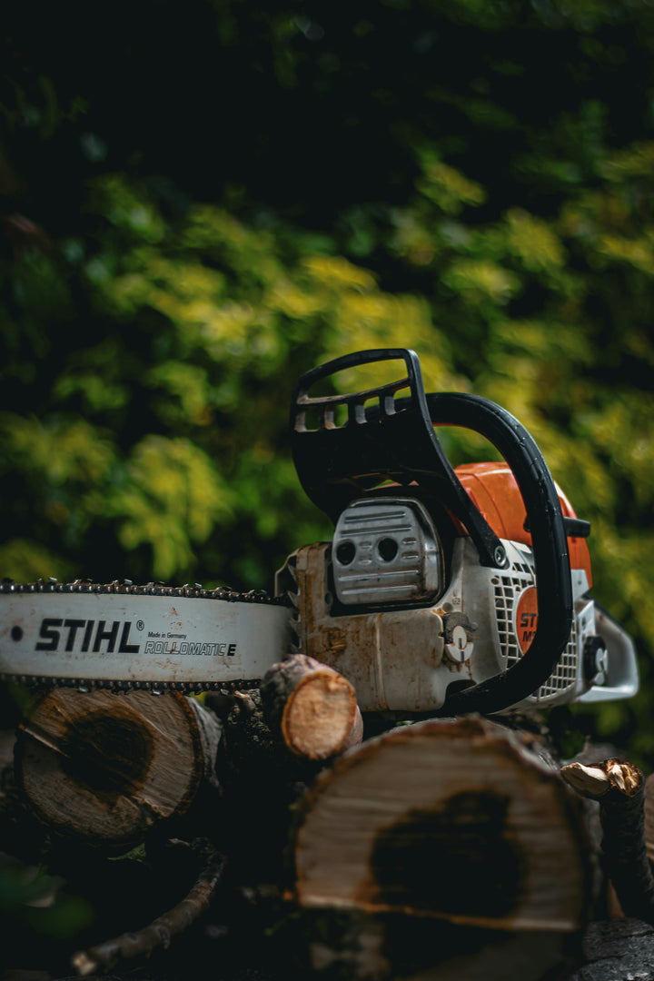 A STIHL chainsaw with an orange and white engine housing sits on top of cut logs outdoors, with a blurred green forest background.
