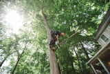 Stihl MS 151T Chainsaw