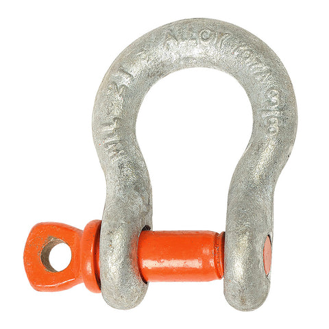 CM ANCHOR SHACKLE DOMESTIC